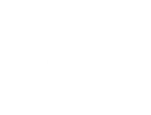 Steinberg Logo weiss